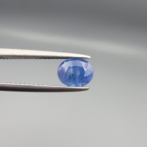 Studio close-up photograph displaying a 1.45-carat oval-cut natural blue sapphire Neelam gemstone held securely in precision tweezers against a neutral grey background.