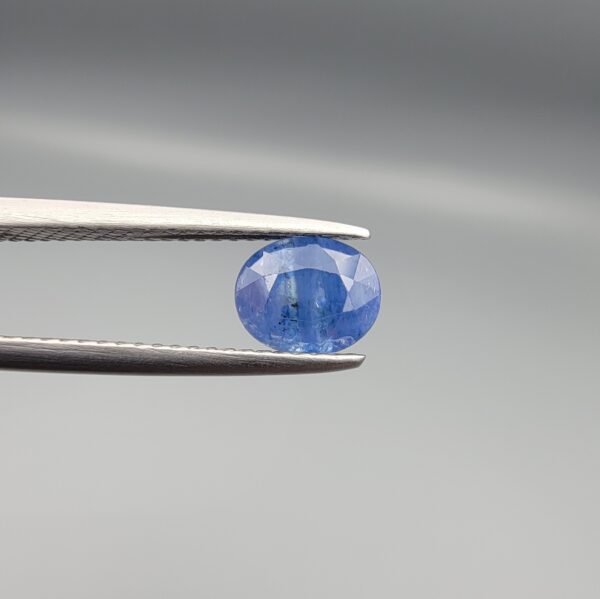 Studio close-up photograph displaying a 1.45-carat oval-cut natural blue sapphire Neelam gemstone held securely in precision tweezers against a neutral grey background.