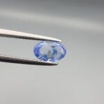 Studio close-up photograph displaying a 0.81-carat oval-cut natural blue sapphire Neelam gemstone held securely in precision tweezers against a neutral grey background.