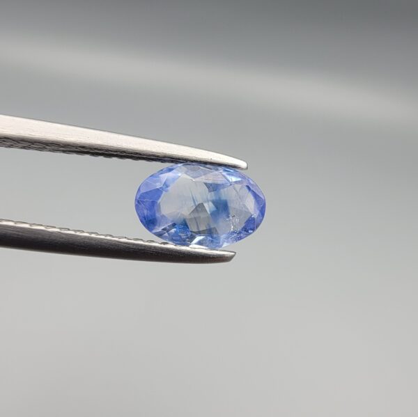 Studio close-up photograph displaying a 0.81-carat oval-cut natural blue sapphire Neelam gemstone held securely in precision tweezers against a neutral grey background.