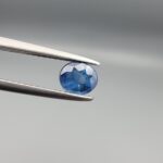 Studio close-up photograph displaying a 0.65-carat oval-cut natural blue sapphire Neelam gemstone held securely in precision tweezers against a neutral grey background.