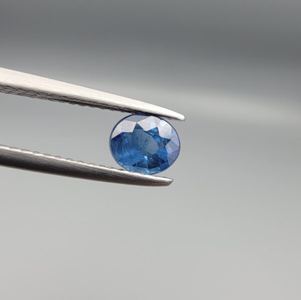Studio close-up photograph displaying a 0.65-carat oval-cut natural blue sapphire Neelam gemstone held securely in precision tweezers against a neutral grey background.