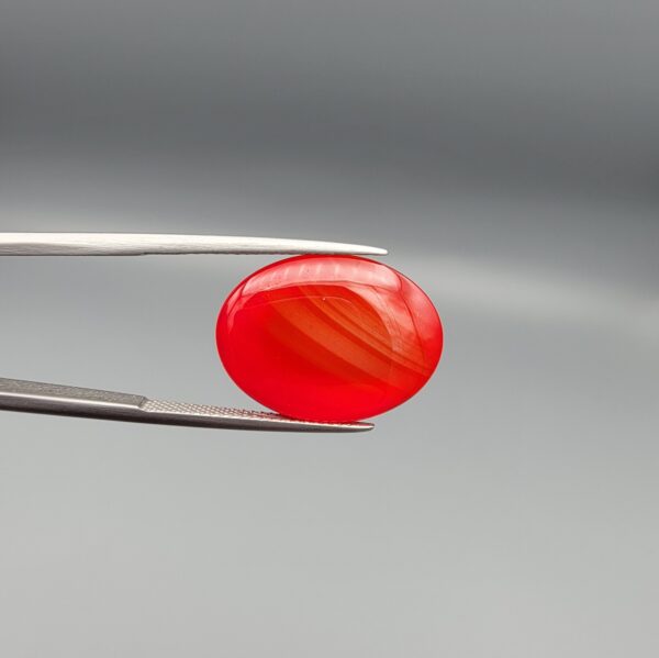 Studio close-up photographs displaying a 20.02-carat oval-cut natural radiant ember orangish-red agate Aqeeq gemstone, held securely in precision tweezers against a neutral grey background.