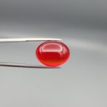 Studio close-up photographs displaying a 22.74-carat oval-cut natural crimson drop brilliant polished red agate Aqeeq gemstone, held securely in precision tweezers against a neutral grey background.