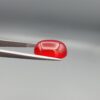 Studio close-up photographs displaying a 22.74-carat oval-cut natural crimson drop brilliant polished red agate Aqeeq gemstone, held securely in precision tweezers against a neutral grey background.