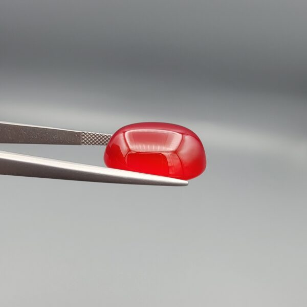 Studio close-up photographs displaying a 22.74-carat oval-cut natural crimson drop brilliant polished red agate Aqeeq gemstone, held securely in precision tweezers against a neutral grey background.