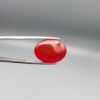 Studio close-up photographs displaying a 22.74-carat oval-cut natural crimson drop brilliant polished red agate Aqeeq gemstone, held securely in precision tweezers against a neutral grey background.