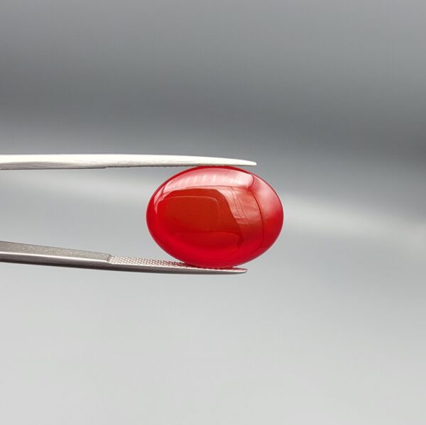 Studio close-up photographs displaying a 22.74-carat oval-cut natural crimson drop brilliant polished red agate Aqeeq gemstone, held securely in precision tweezers against a neutral grey background.