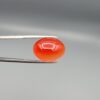 Studio close-up photographs displaying a 19.08-carat oval-cut natural tangerine glow orangish-red agate Aqeeq gemstone, held securely in precision tweezers against a neutral grey background.