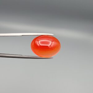 Studio close-up photographs displaying a 19.08-carat oval-cut natural tangerine glow orangish-red agate Aqeeq gemstone, held securely in precision tweezers against a neutral grey background.