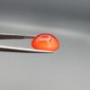 Studio close-up photographs displaying a 19.08-carat oval-cut natural tangerine glow orangish-red agate Aqeeq gemstone, held securely in precision tweezers against a neutral grey background.
