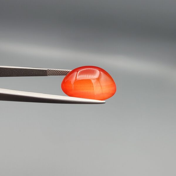 Studio close-up photographs displaying a 19.08-carat oval-cut natural tangerine glow orangish-red agate Aqeeq gemstone, held securely in precision tweezers against a neutral grey background.