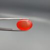 Studio close-up photographs displaying a 19.08-carat oval-cut natural tangerine glow orangish-red agate Aqeeq gemstone, held securely in precision tweezers against a neutral grey background.