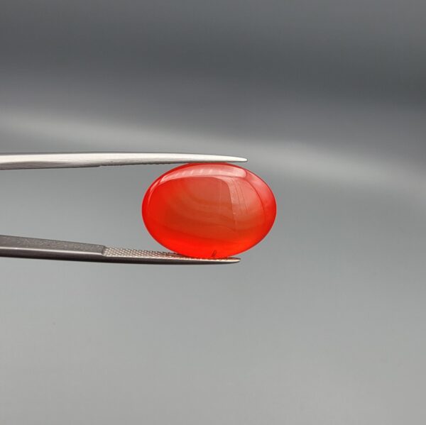 Studio close-up photographs displaying a 19.08-carat oval-cut natural tangerine glow orangish-red agate Aqeeq gemstone, held securely in precision tweezers against a neutral grey background.