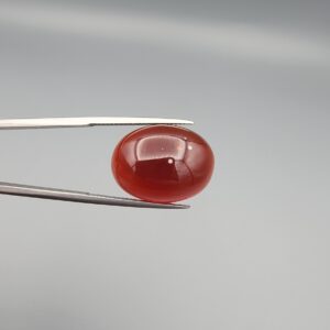 Studio close-up photograph showcasing a 23.84-carat natural carnelian agate Aqeeq cabochon with unique visible inclusions, held securely in precision tweezers against a neutral grey background.