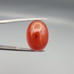 Studio close-up photograph showcasing a 22.63-carat natural carnelian agate Aqeeq cabochon with unique visible dark inclusions, held securely in precision tweezers against a neutral background.