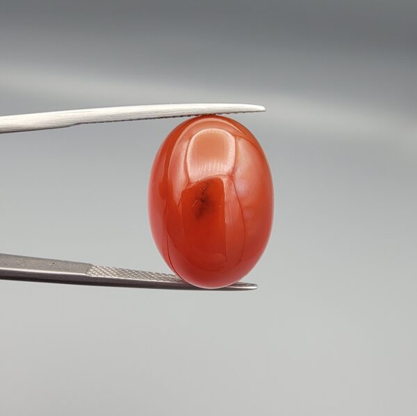 Studio close-up photograph showcasing a 22.63-carat natural carnelian agate Aqeeq cabochon with unique visible dark inclusions, held securely in precision tweezers against a neutral background.