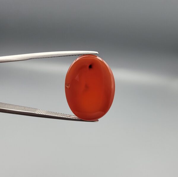 Studio close-up photograph showcasing a 22.63-carat natural carnelian agate Aqeeq cabochon with unique visible dark inclusions, held securely in precision tweezers against a neutral background.