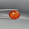 ​Studio close-up photographs displaying a 35.21-carat oval-cut natural nebula glow carnelian agate gemstone featuring unique white crystalline plumes, held securely in precision tweezers against a neutral background.
