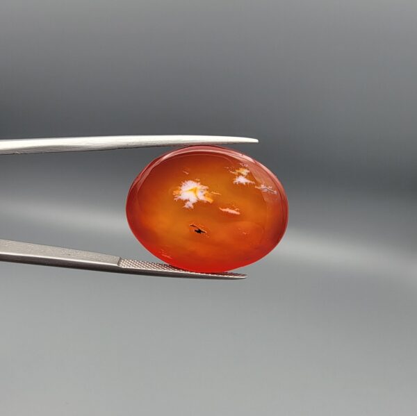 ​Studio close-up photographs displaying a 35.21-carat oval-cut natural nebula glow carnelian agate gemstone featuring unique white crystalline plumes, held securely in precision tweezers against a neutral background.