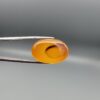 Studio close-up photograph displaying a 31.62-carat oval-cut natural honey-orange carnelian agate gemstone featuring a distinctive central dark inclusion pattern, held securely in precision tweezers against a neutral grey background.
