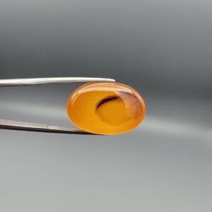 Studio close-up photograph displaying a 31.62-carat oval-cut natural honey-orange carnelian agate gemstone featuring a distinctive central dark inclusion pattern, held securely in precision tweezers against a neutral grey background.