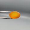 Studio close-up photograph displaying a 31.62-carat oval-cut natural honey-orange carnelian agate gemstone featuring a distinctive central dark inclusion pattern, held securely in precision tweezers against a neutral grey background.