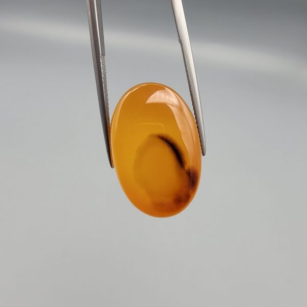 Studio close-up photograph displaying a 31.62-carat oval-cut natural honey-orange carnelian agate gemstone featuring a distinctive central dark inclusion pattern, held securely in precision tweezers against a neutral grey background.