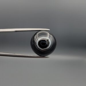 Close-up photograph of a 13.72-carat natural black eye agate cabochon gemstone held in stainless steel tweezers against a neutral grey background, featuring a distinct concentric white ring eye pattern on a polished black surface.