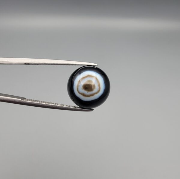 Close-up photograph of a 7.11-carat natural black eye agate cabochon gemstone held in stainless steel tweezers against a neutral grey background, showcasing a centered, multi-layered concentric "eye" ring pattern in brown, white, and black.