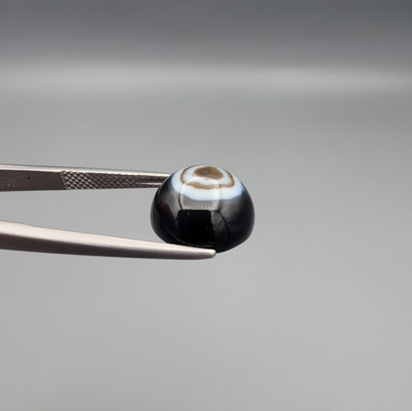 Close-up photograph of a 7.11-carat natural black eye agate cabochon gemstone held in stainless steel tweezers against a neutral grey background, showcasing a centered, multi-layered concentric "eye" ring pattern in brown, white, and black.