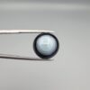 Close-up photograph of a 12.21-carat natural black eye agate cabochon gemstone held in stainless steel tweezers against a neutral grey background, showcasing a prominent, luminous milky-white concentric eye pattern set against an intense black body.