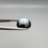 Close-up photograph of a 12.21-carat natural black eye agate cabochon gemstone held in stainless steel tweezers against a neutral grey background, showcasing a prominent, luminous milky-white concentric eye pattern set against an intense black body.