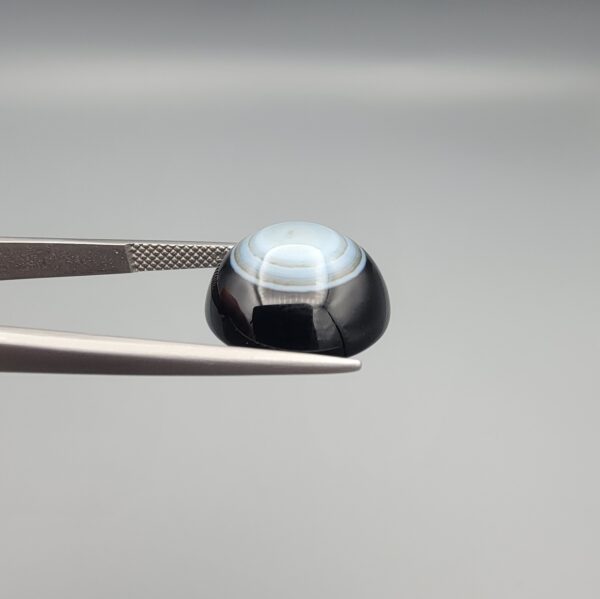 Close-up photograph of a 12.21-carat natural black eye agate cabochon gemstone held in stainless steel tweezers against a neutral grey background, showcasing a prominent, luminous milky-white concentric eye pattern set against an intense black body.