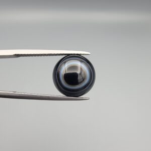 Close-up photograph of a 4.98-carat natural black eye agate cabochon gemstone held in stainless steel tweezers against a neutral grey background, featuring crisp white concentric eye rings framing a deep black center.