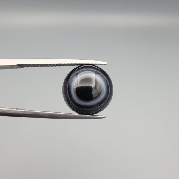 Close-up photograph of a 4.98-carat natural black eye agate cabochon gemstone held in stainless steel tweezers against a neutral grey background, featuring crisp white concentric eye rings framing a deep black center.