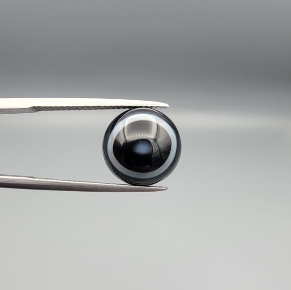 Close-up photograph of a 6.35-carat natural black eye agate cabochon gemstone held in stainless steel tweezers against a neutral grey background, featuring clean white concentric ring banding on an intense polished black surface.