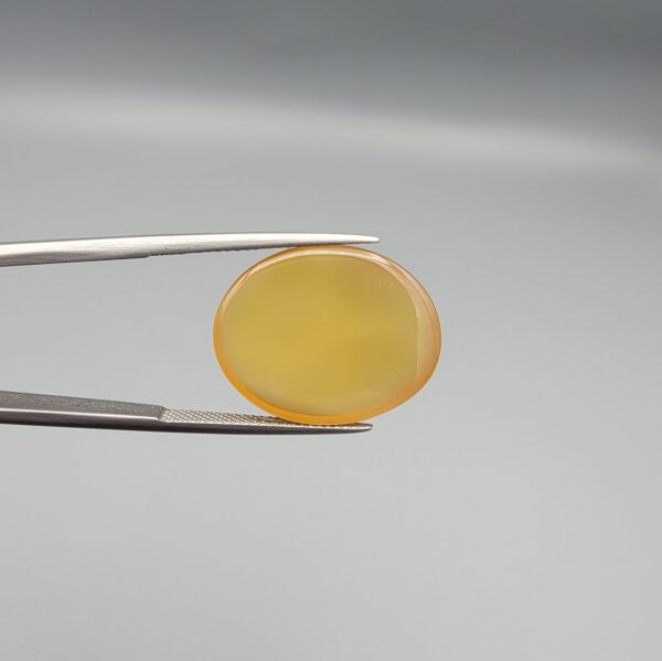 Multi-angle macro photographs of a 19.61-carat natural yellow chalcedony agate (Zard Aqeeq) oval cabochon from Iran held in metal tweezers, highlighting a smooth domed profile, uniform honey-yellow translucency, and a high-gloss reflective surface.