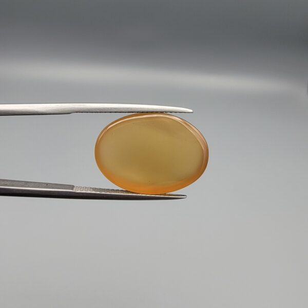 Multi-angle macro photographs of a 16.65-carat natural yellow chalcedony agate (Zard Aqeeq) oval cabochon from Iran held in metal tweezers, highlighting a smooth domed profile, uniform honey-yellow translucency, and a high-gloss reflective surface.