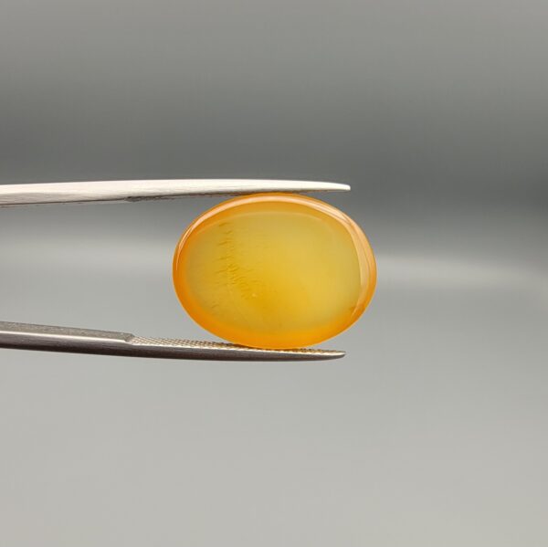 Multi-angle macro photographs of a 15.57-carat natural yellow chalcedony agate (Zard Aqeeq) oval cabochon from Iran held in metal tweezers, showcasing a smooth, domed surface, uniform honey-yellow translucency, and distinct natural internal vein inclusions.