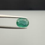 Macro photograph of a 1.71-carat natural Zambian emerald (Zamrud) held horizontally in stainless steel gem tweezers, displaying a faceted oval cut, deep rich green color, and fine natural internal inclusions (jardin) across the table.