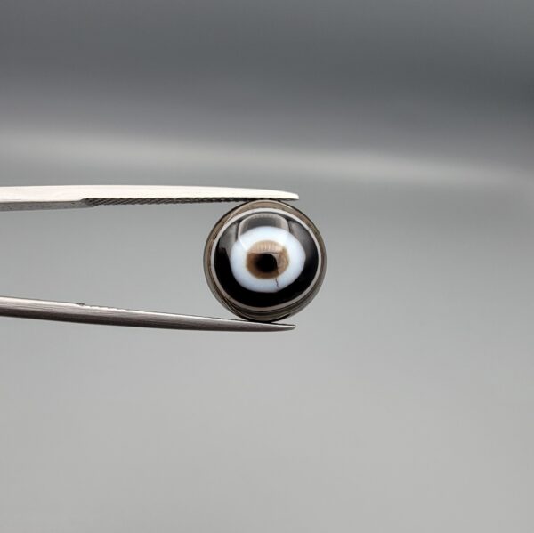 Multi-angle macro photographs of a 5.87-carat natural African Black Eye Agate (Sulemani Aqeeq) held in steel gem tweezers, showcasing a high round cabochon dome with concentric black and stark white banding, a brownish-black core pupil, and a base revealing dendritic veins.