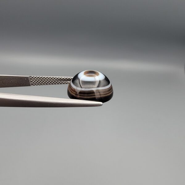 Multi-angle macro photographs of a 5.87-carat natural African Black Eye Agate (Sulemani Aqeeq) held in steel gem tweezers, showcasing a high round cabochon dome with concentric black and stark white banding, a brownish-black core pupil, and a base revealing dendritic veins.