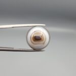 Multi-angle macro photographs of a 12.93-carat natural African Black Eye Agate (Sulemani Aqeeq) held in gem tweezers, showcasing a high round cabochon dome with sharp concentric white and brown banding, a dark brown core pupil, and a base showing natural chalcedony matrix patterns.