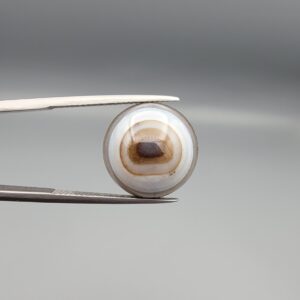 Multi-angle macro photographs of a 12.93-carat natural African Black Eye Agate (Sulemani Aqeeq) held in gem tweezers, showcasing a high round cabochon dome with sharp concentric white and brown banding, a dark brown core pupil, and a base showing natural chalcedony matrix patterns.