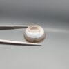 Multi-angle macro photographs of a 12.93-carat natural African Black Eye Agate (Sulemani Aqeeq) held in gem tweezers, showcasing a high round cabochon dome with sharp concentric white and brown banding, a dark brown core pupil, and a base showing natural chalcedony matrix patterns.