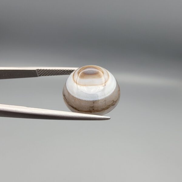 Multi-angle macro photographs of a 12.93-carat natural African Black Eye Agate (Sulemani Aqeeq) held in gem tweezers, showcasing a high round cabochon dome with sharp concentric white and brown banding, a dark brown core pupil, and a base showing natural chalcedony matrix patterns.