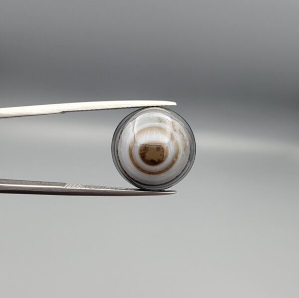 Multi-angle macro photographs of a 12.87-carat natural African Banded Eye Agate (Sulemani Aqeeq) held in gem tweezers, displaying a high round cabochon dome with concentric white and grey fortification rings, a brownish-black core pupil, and a base showing soft blue-grey to dark gradient chalcedony.