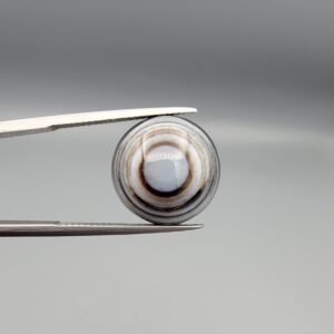 Multi-angle macro photographs of a 12.76-carat natural African Banded Eye Agate (Sulemani Aqeeq) held in gem tweezers, displaying a high round cabochon dome with concentric white and dark brown fortification rings framing a defined eye motif, tiered side profile banding, and a smooth dark brown base.
