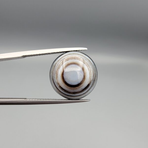 Multi-angle macro photographs of a 12.76-carat natural African Banded Eye Agate (Sulemani Aqeeq) held in gem tweezers, displaying a high round cabochon dome with concentric white and dark brown fortification rings framing a defined eye motif, tiered side profile banding, and a smooth dark brown base.